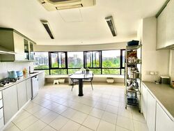 The Draycott (D10), Apartment #534009101